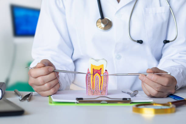 Best Dental Abscess Treatment in Fairbanks, AK